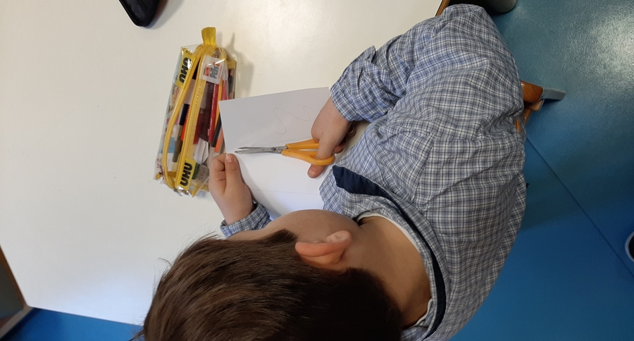 Ritagliamo delle strisce seguendo le linee disegnate sul foglio