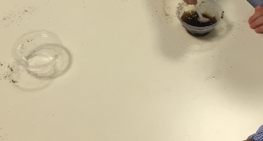 Alcune sostanze si sciolgono nell’acqua...scopriamo quali